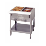 Duke Manufacturing 302 Steamtable 2-Pan Dry Gas Natural Gas DUKE-302